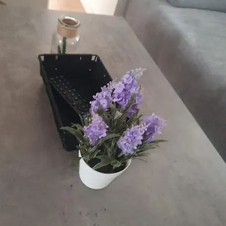 Center Apartment Graz