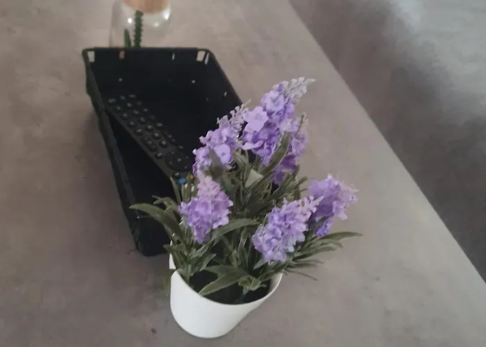 Center Apartman Graz